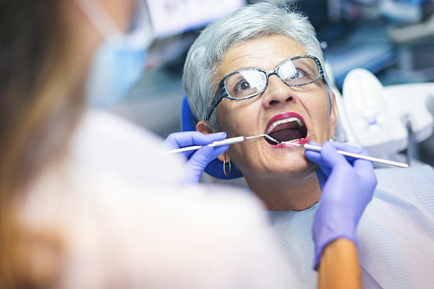 Professional Holistic Dental Care Services in Forest Hills, MI